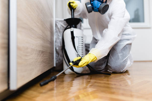 Best Local Pest Control Services  in Carrollton, TX