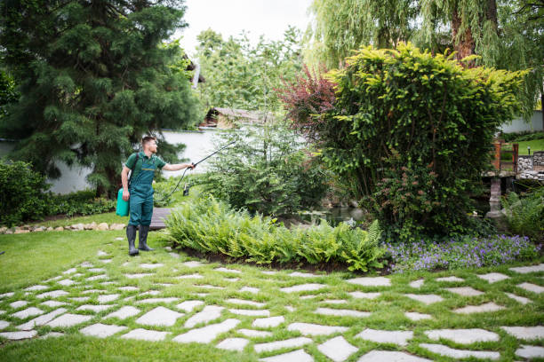 Best Pest Prevention Services  in Carrollton, TX