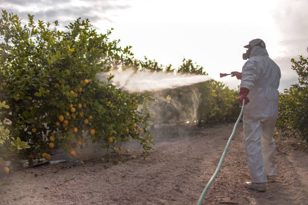 Trusted Carrollton, TX Pest Control Experts