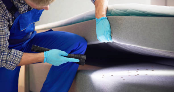 Best Cockroach Control Services  in Carrollton, TX